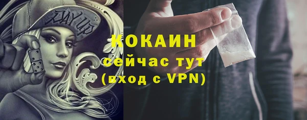 гидра Армянск