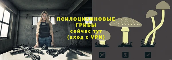 ALPHA PVP Аркадак