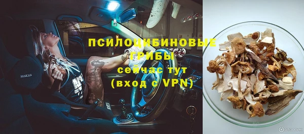 гидра Армянск