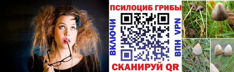 OMG сайт  Вичуга  Галлюциногенные грибы прущие грибы 